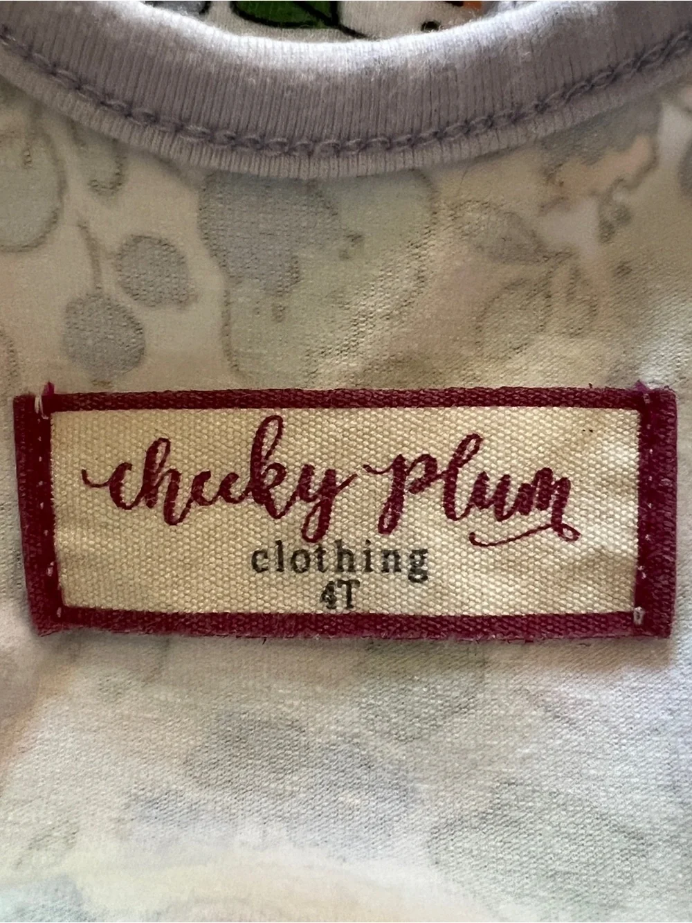Cheeky Plum Dress Girls 4T Floral Cross Back Peach Eyelet Hem Pocket Twirl